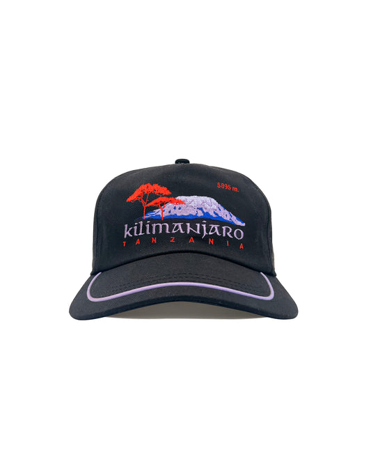 Visit Kilimanjaro