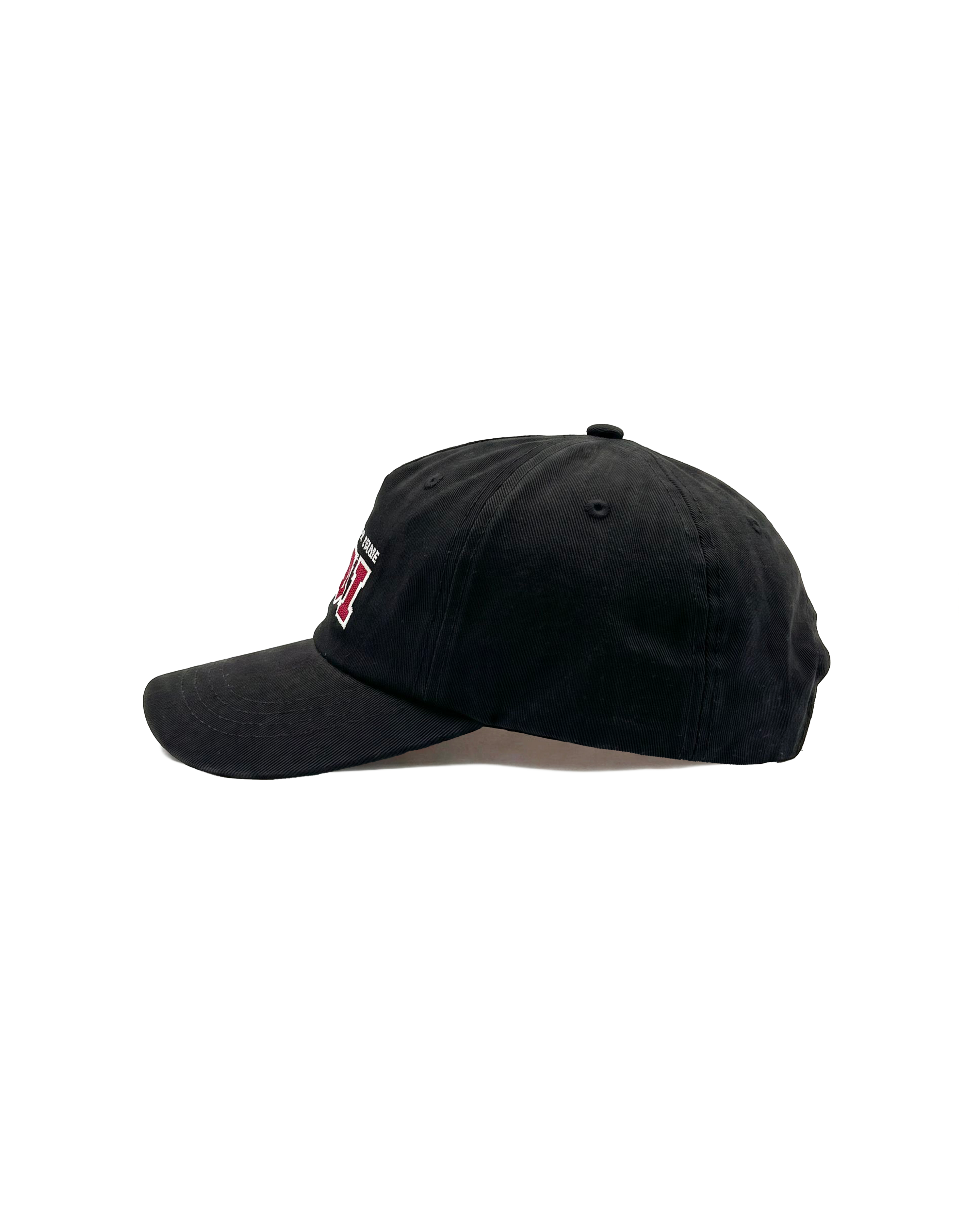 VISIT Avoriaz winter cap, detail SH10